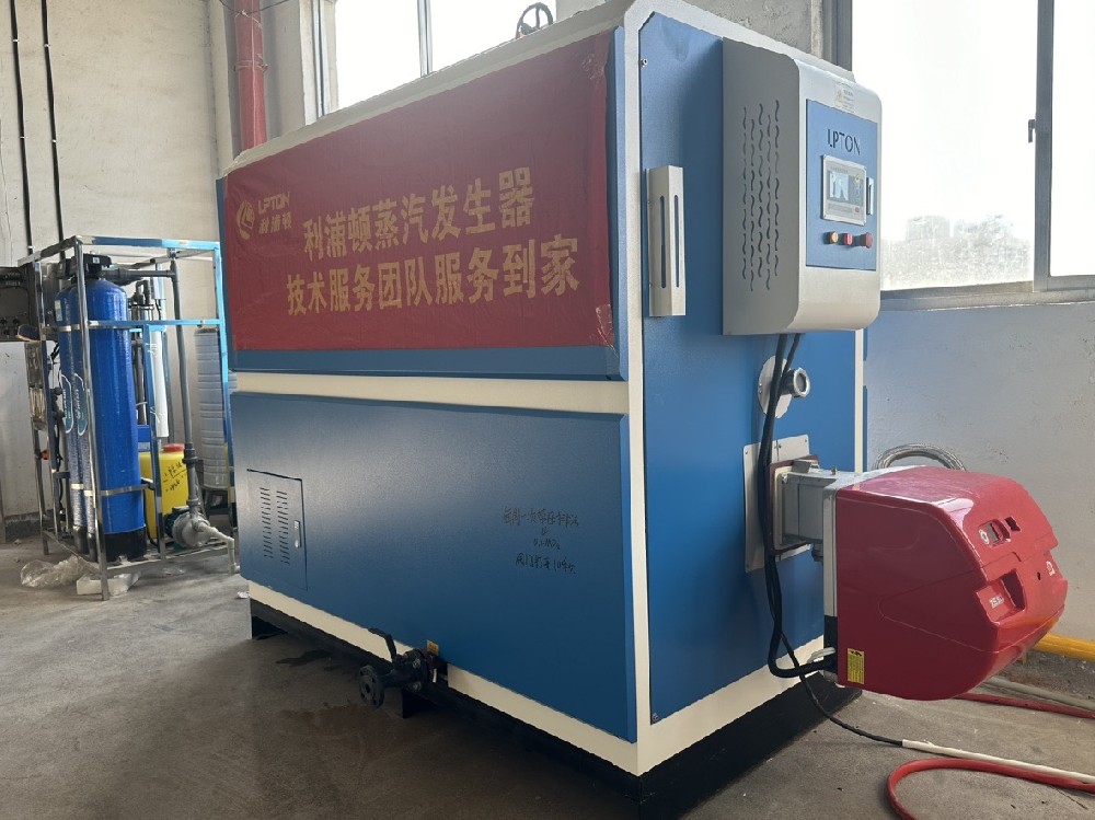 利浦頓0.5噸燃氣蒸汽發(fā)生器用于配套反應(yīng)釜升溫